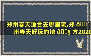郑州春天适合去哪里玩,郑 🌴 州春天好玩的地 🐧 方2020